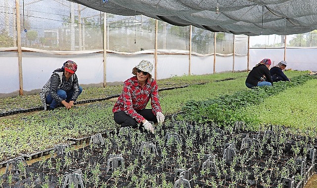 Büyükşehir Belediyesi’nden tarıma büyük destek