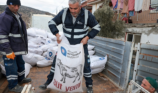Büyükşehir’in yem desteği yüzleri güldürüyor