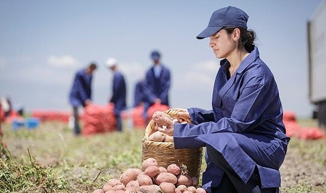 PepsiCo Türkiye’den 19 Ağustos Dünya Patates Gününde Yenileyici Tarımda Büyük Başarı: Patates Üretiminin %89’u Yenileyici Tarım Uygulamalarıyla Gerçekleşiyor