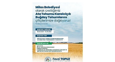 Milas Belediyesi’nden Üreticilere Karakılçık Buğday Tohumu Desteği