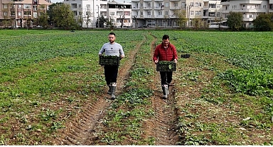 Osmangazi Belediyesi Doğal Üretimle Sofralara Sağlık Sunuyor