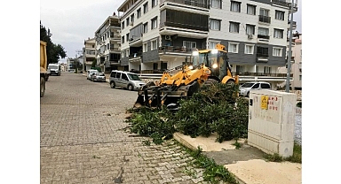 Didim Belediyesi Ekipleri Her Koşulda Sahada