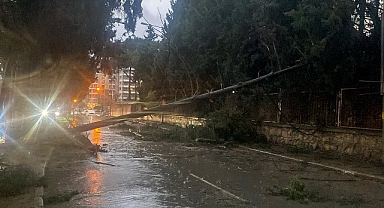 Buca Belediyesi ekiplerinin fırtına ve yağış mesaisi
