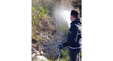 Didim’de Halk Sağlığı İçin Vektörlere Karşı Etkin Mücadele