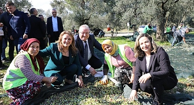 Zeytinin Başkenti Edremit’te MECİ Şenliği başlıyor