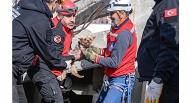 Afetzede hayvanlar için ilçelere arama kurtarma eğitimi