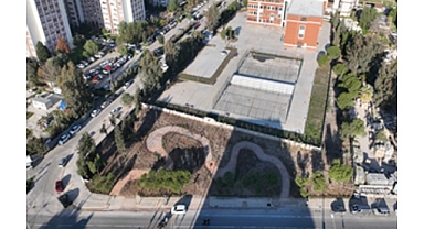 Betonun arasından orman çıktı