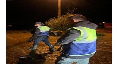 Canlar için Büyükşehir ekiplerinin özverili çabası