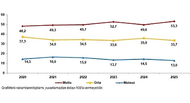 Yaşam Memnuniyeti Araştırması, 2025