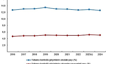 Yabancı Kontrollü Girişim İstatistikleri, 2024