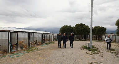 Başkan Ertaş’tan sokak hayvanlarına ilişkin açıklama